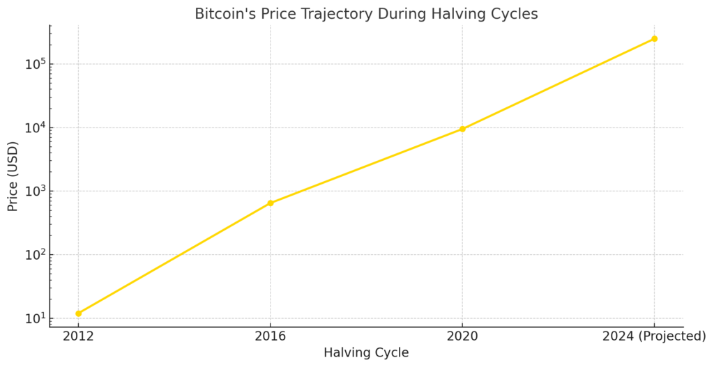 Bitcoin's Price Trajectory During Halving Cycles:  Uses a logarithmic scale to show Bitcoin's significant price growth across halving cycles, including a projection for 2024.